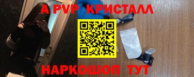 прущие грибы Лесосибирск
