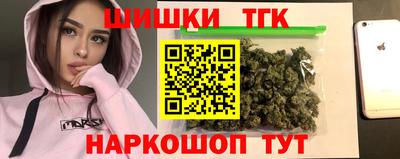 прущие грибы Лесосибирск