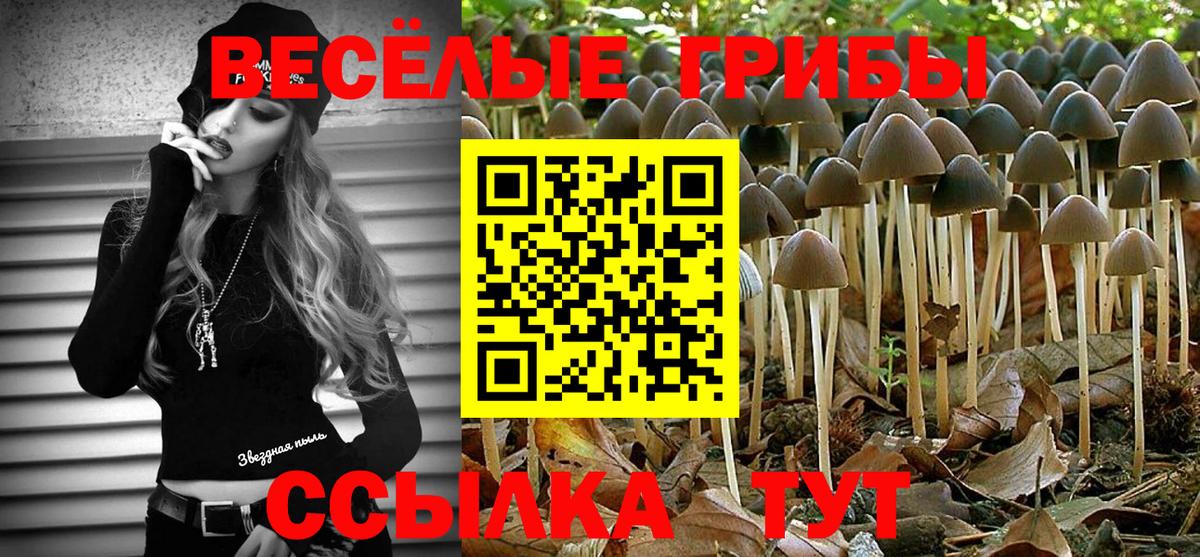Геленджик  Галлюциногенные грибы Psilocybine cubensis  магазин продажи наркотиков  Вход с VPN 